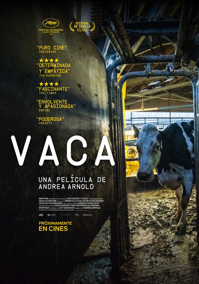 Vaca - cartel