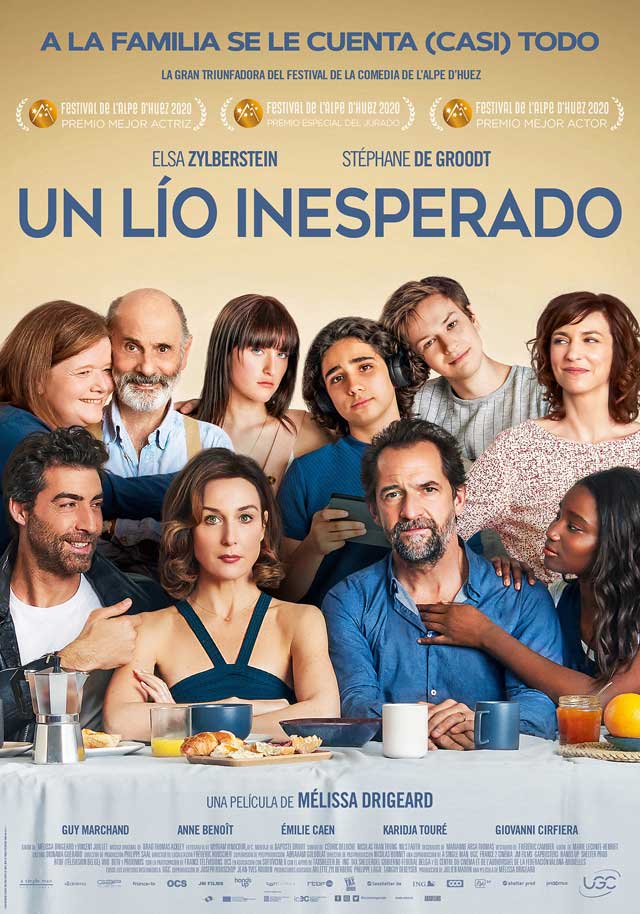 Un lío inesperado - cartel