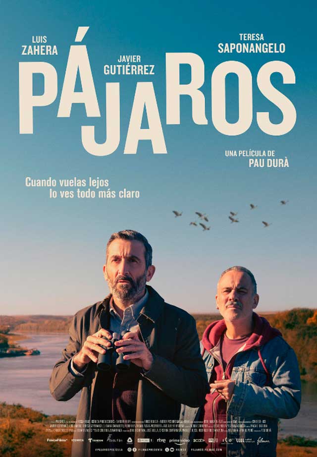 Pájaros - cartel