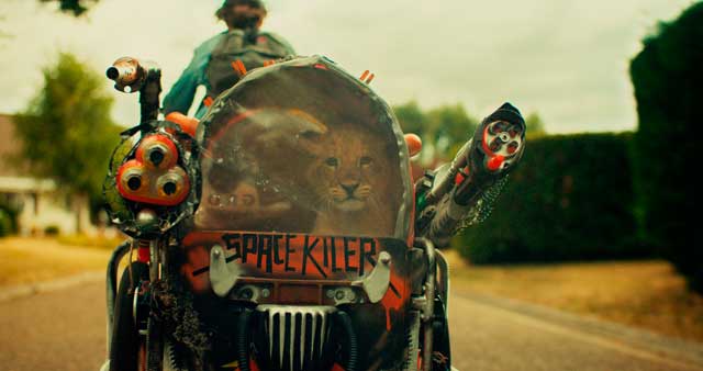 King, mi pequeño rey