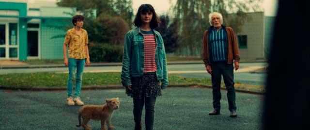 King, mi pequeño rey