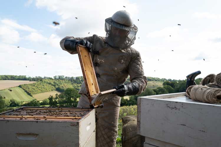 Beekeeper: El protector