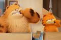Garfield: La película / 2