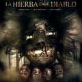 La hierba del diablo cartel reducido