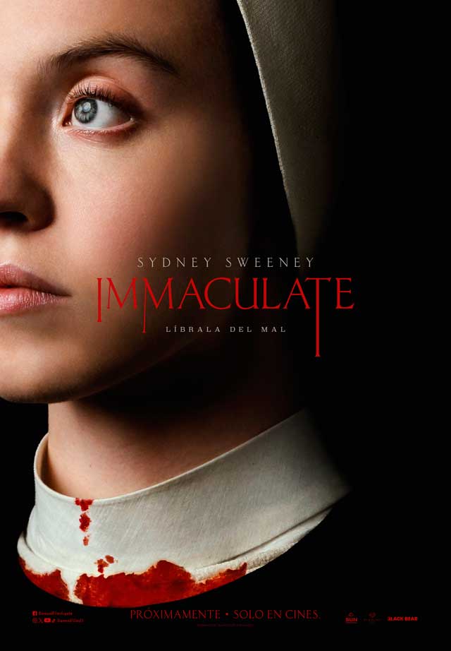 Immaculate - cartel