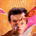 Animal I Humano cartel reducido