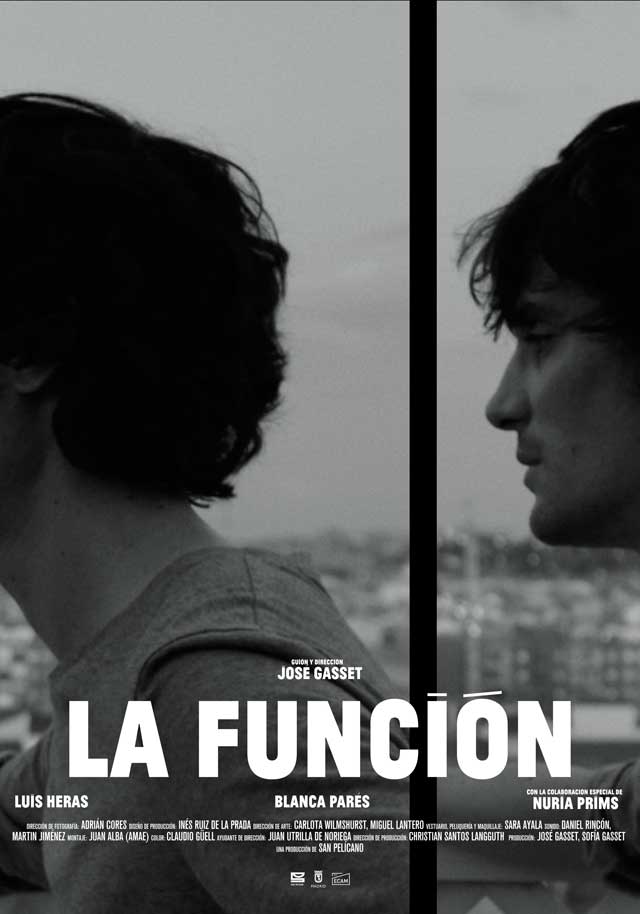La función - cartel