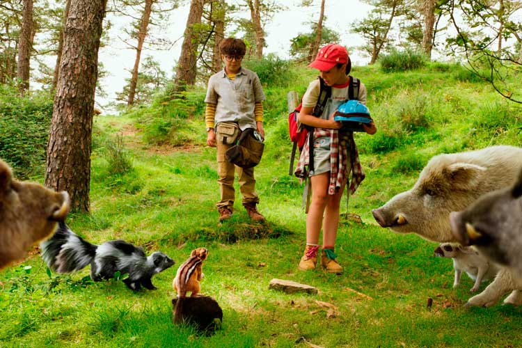 Campamento garra de oso