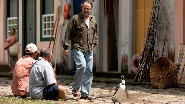 Mi amigo el pingüino