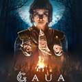 Gaua - cartel reducido