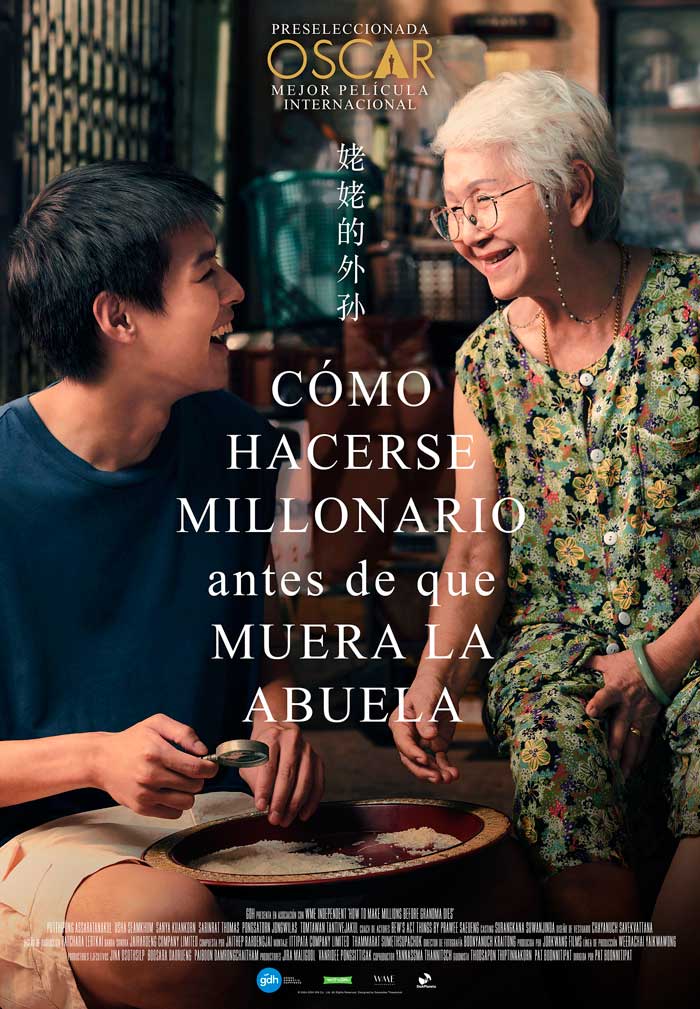 Cómo hacerse millonario antes de que muera la abuela - cartel
