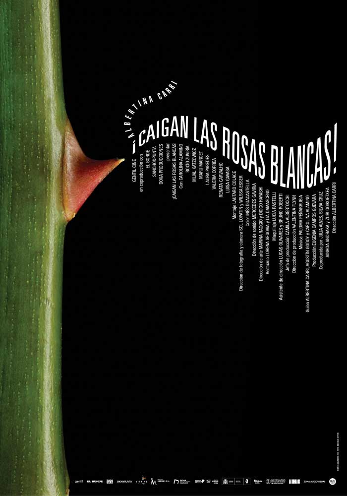 ¡Caigan las rosas blancas! - cartel