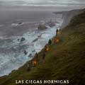 Las ciegas hormigas cartel reducido