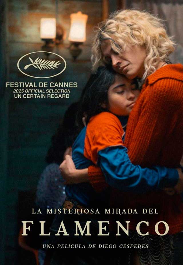 La misteriosa mirada del flamenco - cartel