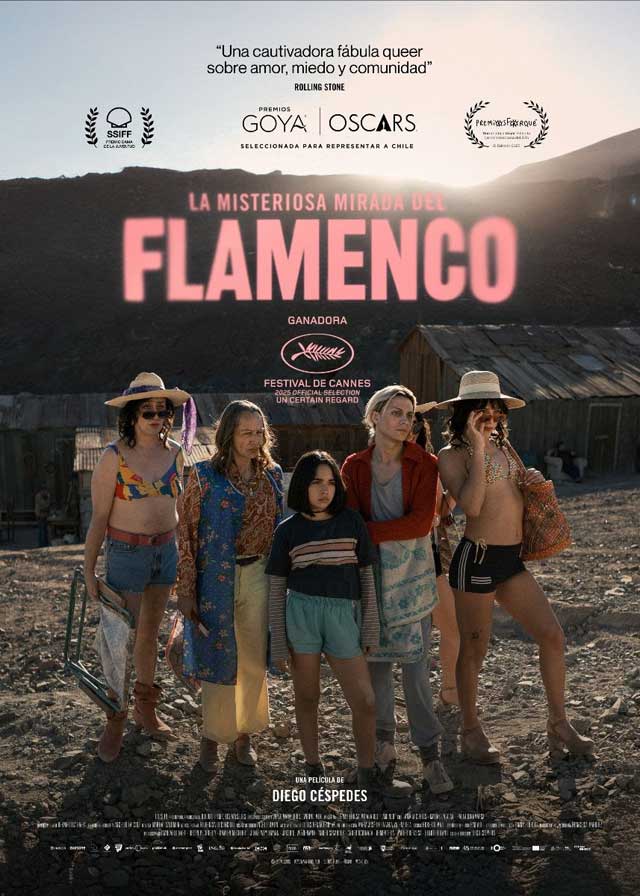 La misteriosa mirada del flamenco - cartel