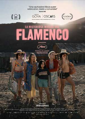 Cartel de La misteriosa mirada del flamenco