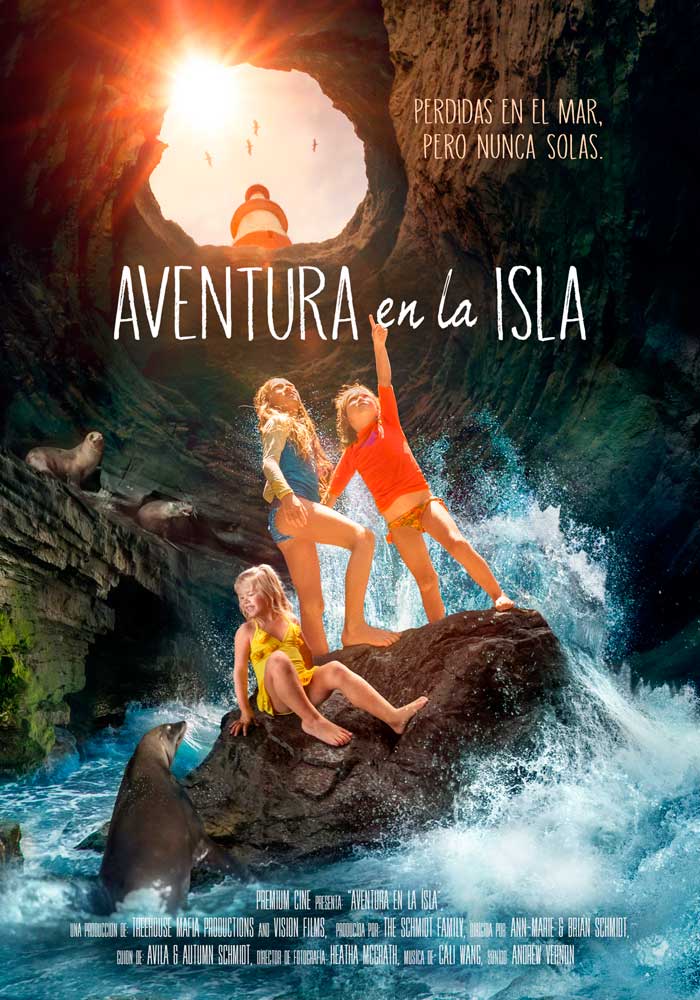 Aventura en la isla - cartel