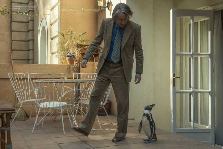 Lo que aprendí de mi pingüino