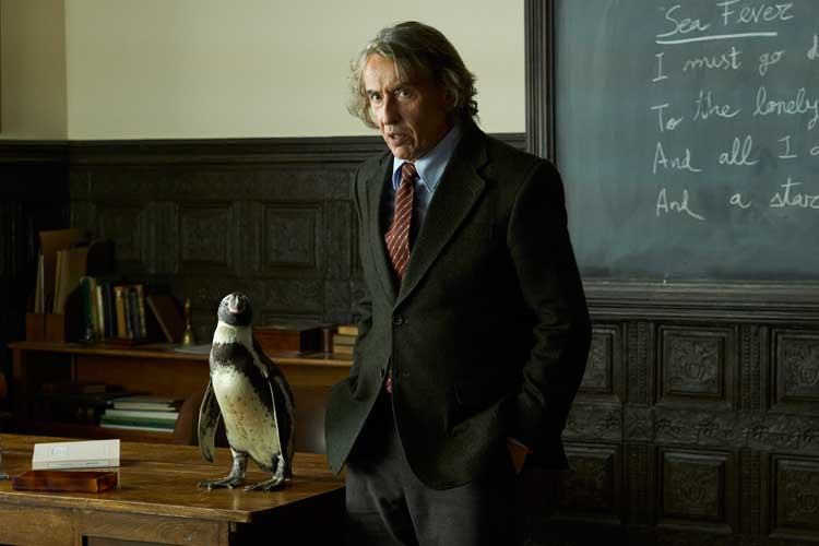 Lo que aprendí de mi pingüino