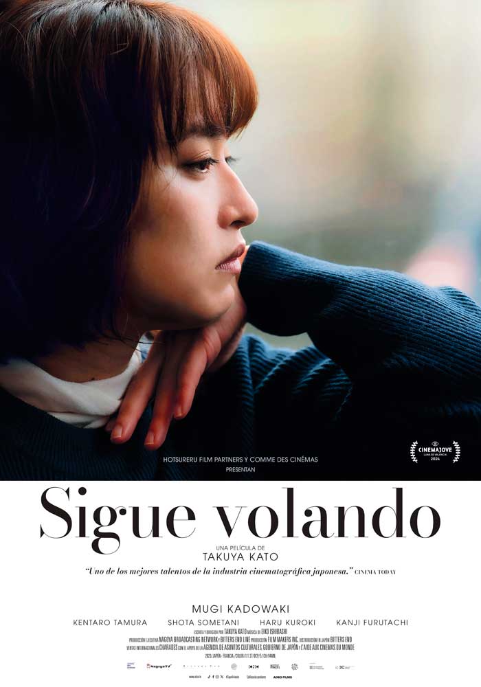 Sigue volando - cartel