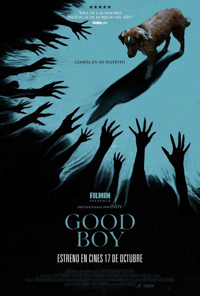 Good boy - cartel