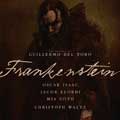 Frankenstein cartel reducido