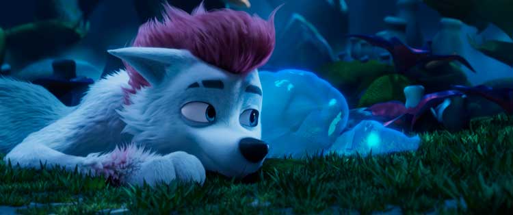 200% Wolf, pequeño gran lobo