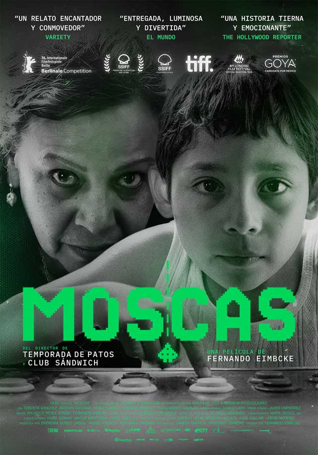 Moscas - cartel