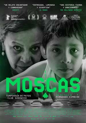 Cartel de Moscas