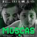 Moscas cartel reducido