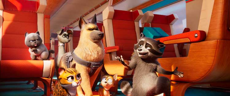 Mascotas al rescate