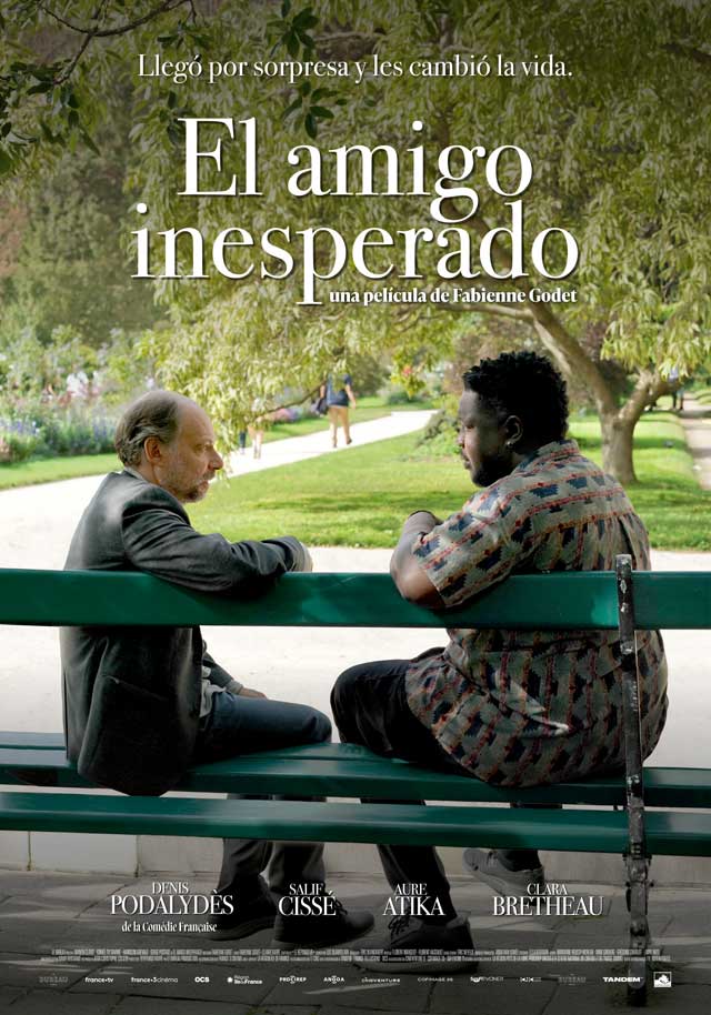 El amigo inesperado - cartel