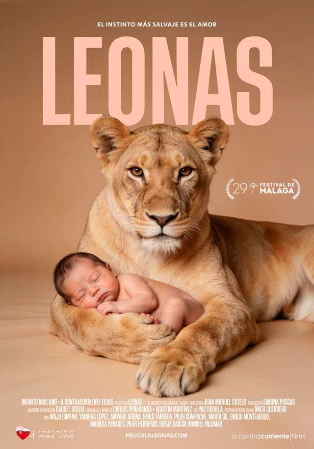 Leonas - cartel