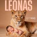 Leonas cartel reducido