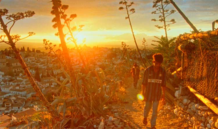 Quién vio los templos caer