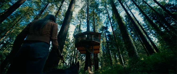 La casa en el árbol