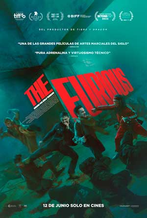 Cartel de The furious