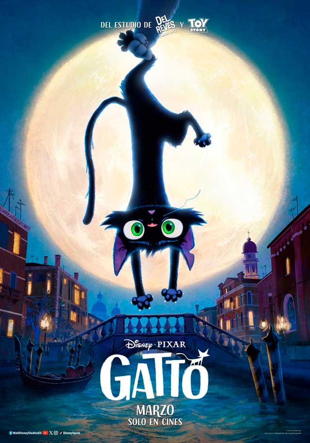 Gatto - cartel