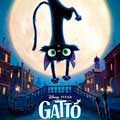 Gatto cartel reducido