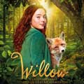 Willow y las guardianas de los cuatro elementos cartel reducido