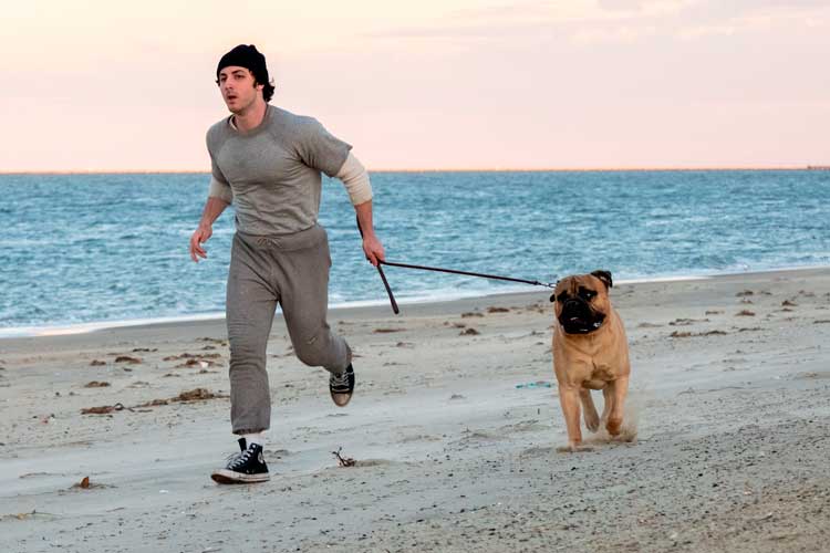 Yo soy Rocky