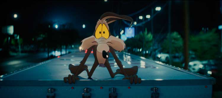 Coyote vs. Acme