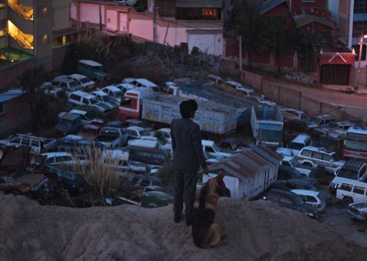 El ladrón de perros