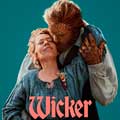Wicker cartel reducido