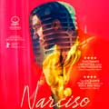 Narciso cartel reducido