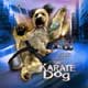 Karate Dog cartel reducido