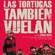 Las tortugas también vuelan cartel reducido