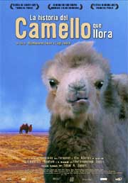 Cartel de La historia del camello que llora