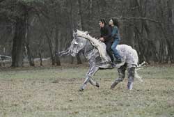 La ciencia del sueño