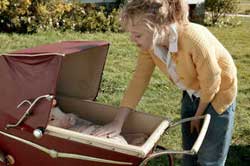 La telaraña de Carlota